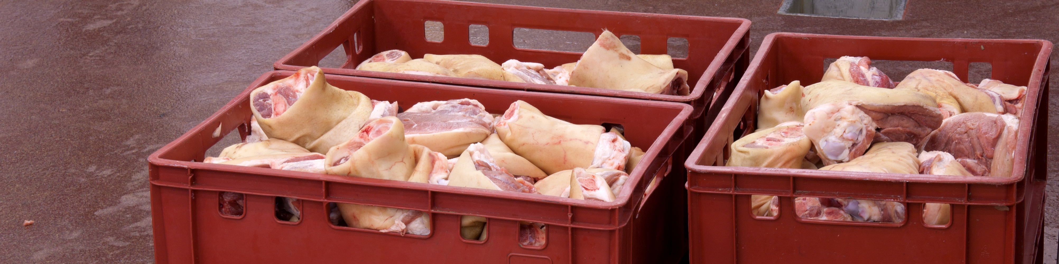 Meat Containers